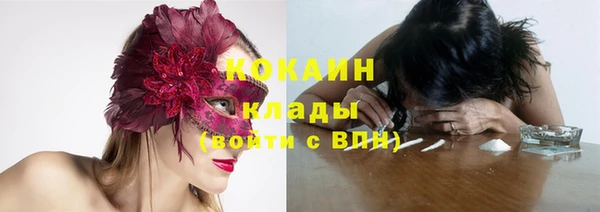 прущие грибы Верхний Тагил
