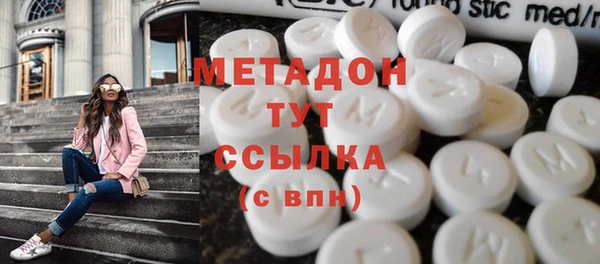 прущие грибы Верхний Тагил