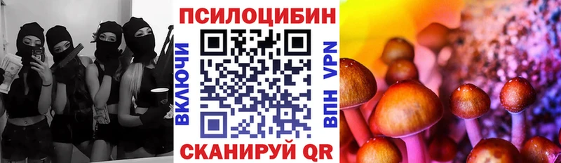 Галлюциногенные грибы Psilocybine cubensis  Грязи 