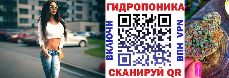 shop Telegram  Грязи  Каннабис индика 